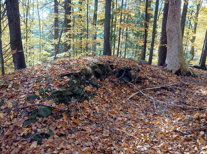 Cetatea Tartód (Vărşag), Romania, Romania
